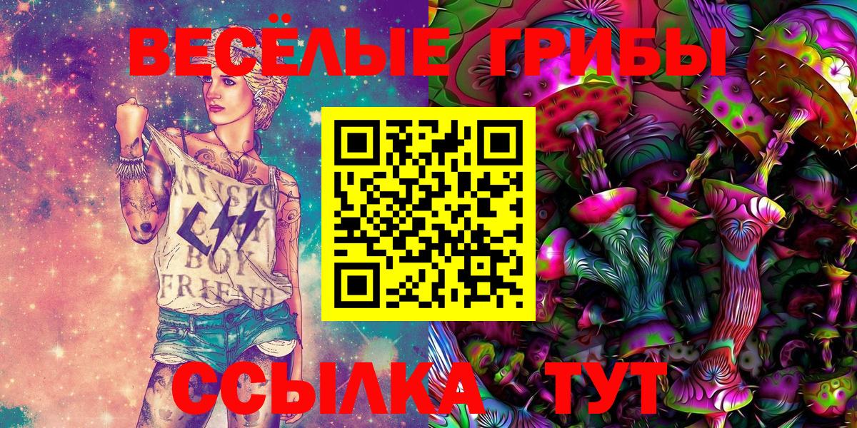 Галлюциногенные грибы прущие грибы  Вход с VPN  Алексеевка 