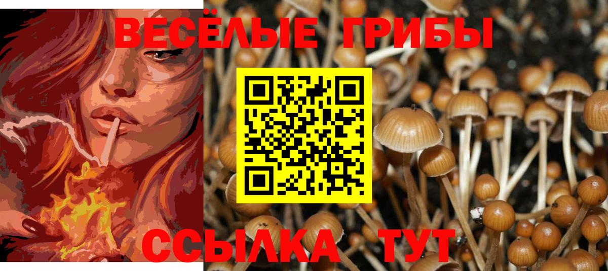 Псилоцибиновые грибы мухоморы Алексеевка